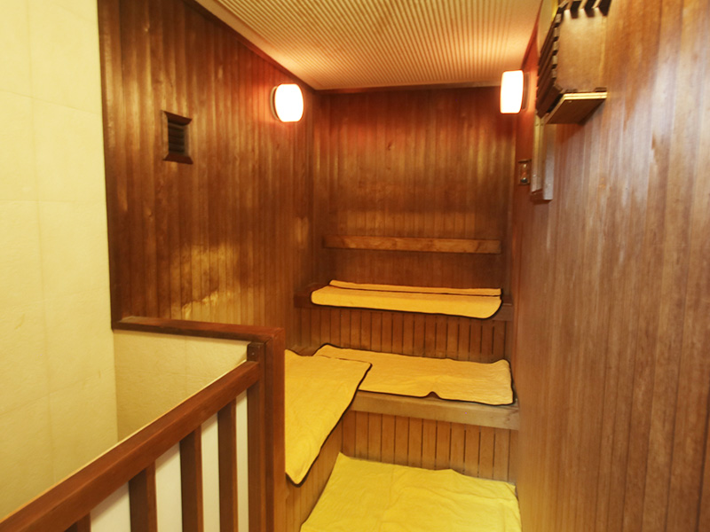 長野県 草湯温泉 旅館 草湯温泉荘 サウナ